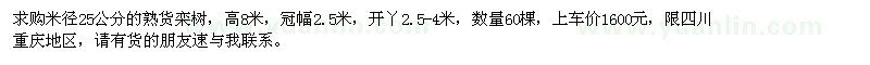 求购米径25公分栾树