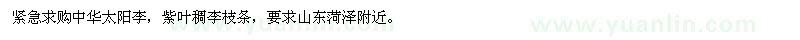 求购中华太阳李、紫叶稠李枝条