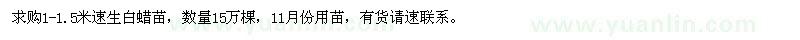 求购1-1.5米速生白蜡，15万棵 11月份用苗