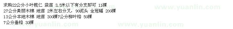 求购小叶榄仁、美丽木棉、本地木棉