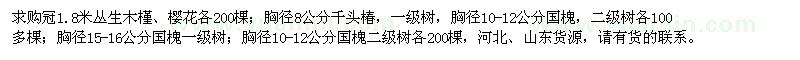 求购丛生木槿、丛生樱花、千头椿、国槐