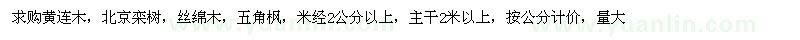 求购黄连木、北京栾树、丝绵木