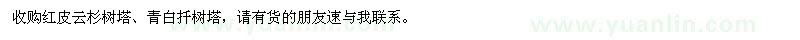 求购红皮云杉树塔、青白扦树塔