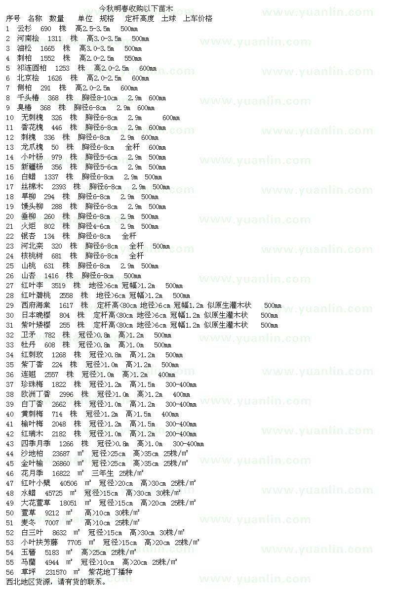 求购云杉、河南桧、油松、刺柏等