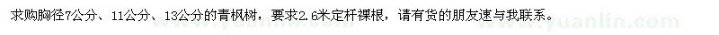 求购胸径7公分、11公分、13公分青枫树