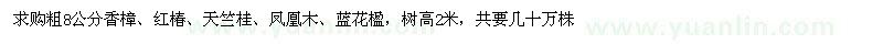 求购香樟、红椿、天竺桂、凤凰木、蓝花楹