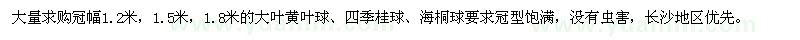 求购大叶黄叶球、四季桂球、海桐球