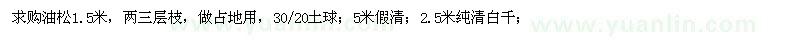 求购1.5米油松、2.5米纯清白千