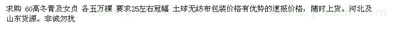 求购高60公分冬青、女贞