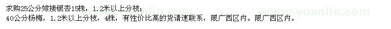 求购25公分嫁接银杏、40公分杨梅