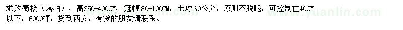 求购高350-400公分蜀桧（塔柏）