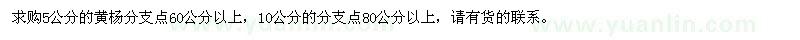 求购直径5、10公分黄杨树