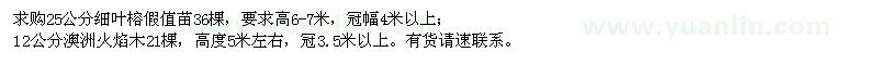 求购25公分细叶榕、12公分澳洲火焰木