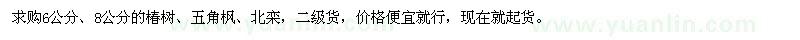 求购椿树、五角枫、北栾