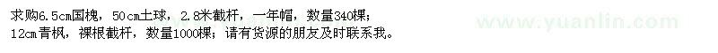 求购6.5公分国槐、12公分青枫