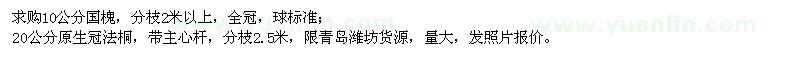 求购10公分国槐、20公分法桐