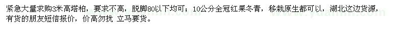 求购高3米塔柏、10公分红果冬青