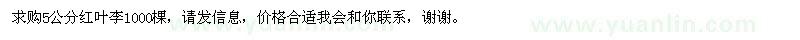 求购5公分红叶李1000棵