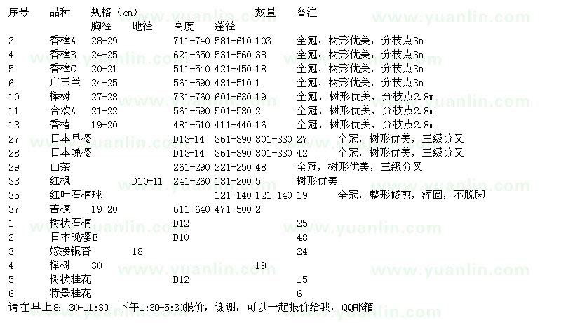 求购榉树、合欢、香椿、日本早樱等绿化苗木