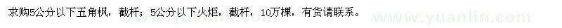 求购5公分以下五角枫、5公分以下火炬