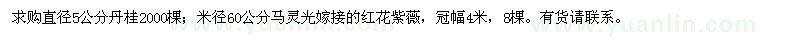 求购丹桂、马灵光嫁接的红花紫薇