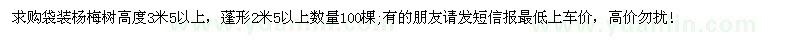 求购高3米5以上袋装杨梅树