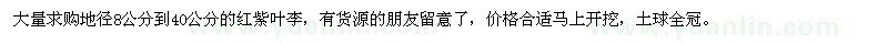 求购地径8-40公分红紫叶李