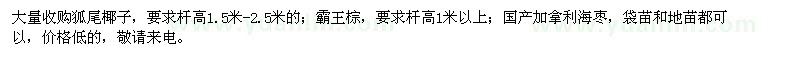 求购狐尾椰子、霸王棕、加拿利海枣