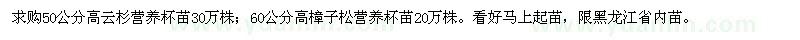 求购高50、60公分云杉、樟子松营养杯苗