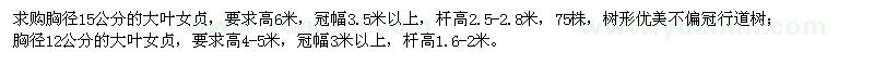 求购胸径12、15公分大叶女贞