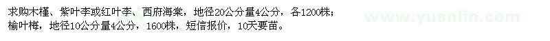 求购木槿、紫叶李、红叶李、西府海棠、榆叶梅