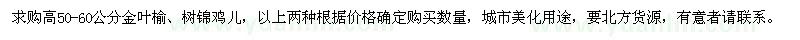 求购高50-60公分金叶榆、树锦鸡儿