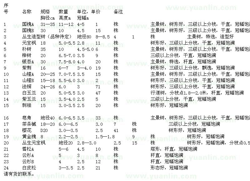 求购国槐、朴树、榉树、银杏等