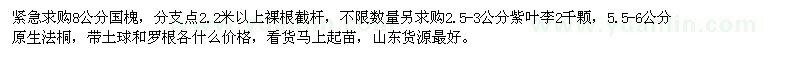 求购国槐、紫叶李、法桐