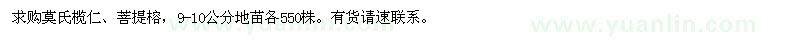 求购莫氏榄仁、菩提榕