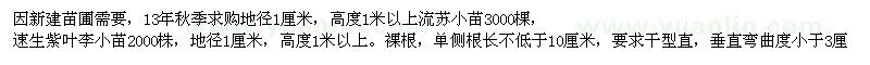 求购流苏、速生紫叶李小苗