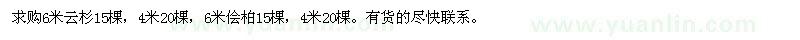 求购4、6米云杉、侩柏