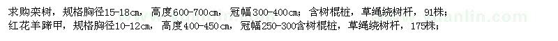 求购栾树、红花羊蹄