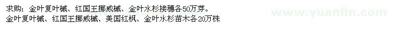 求购金叶复叶槭、红国王挪威槭、金叶水杉接穗等