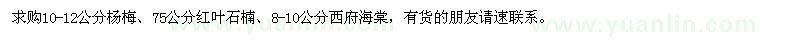 求购杨梅、红叶石楠、西府海棠