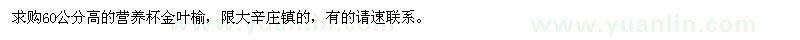 求购高60公分营养杯金叶榆