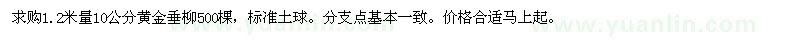 求购10公分黄金垂柳