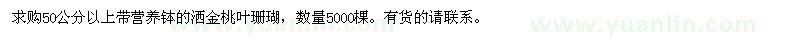 求购50公分以上带营养钵洒金桃叶珊瑚