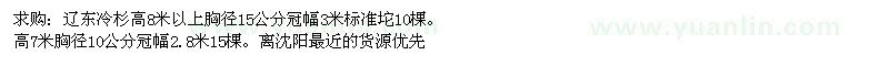 求购高7、8米以上辽东冷杉