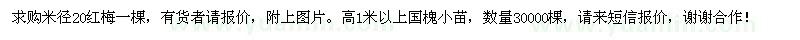 求购米径20公分红梅、高1米以上国槐小苗