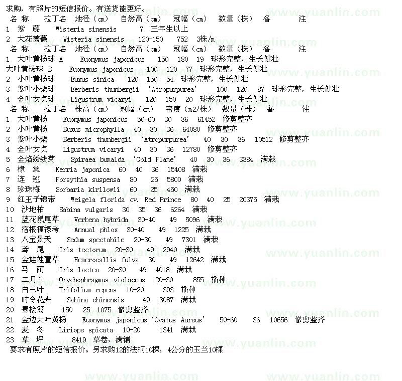 求购大花蔷薇、小叶黄杨球、紫藤等