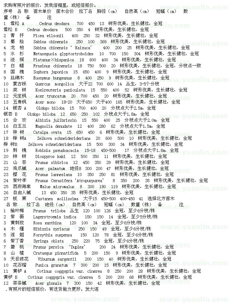 求购雪松、蜀桧、龙柏、水杉等