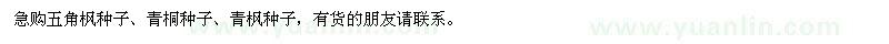 求购五角枫种子、青桐种子、青枫种子