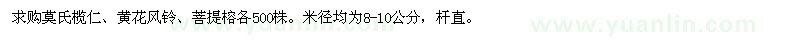 求购莫氏榄仁、黄花风铃、菩提榕