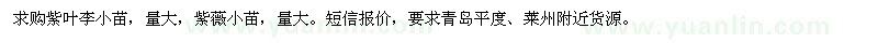 求购紫叶李小苗、紫薇小苗